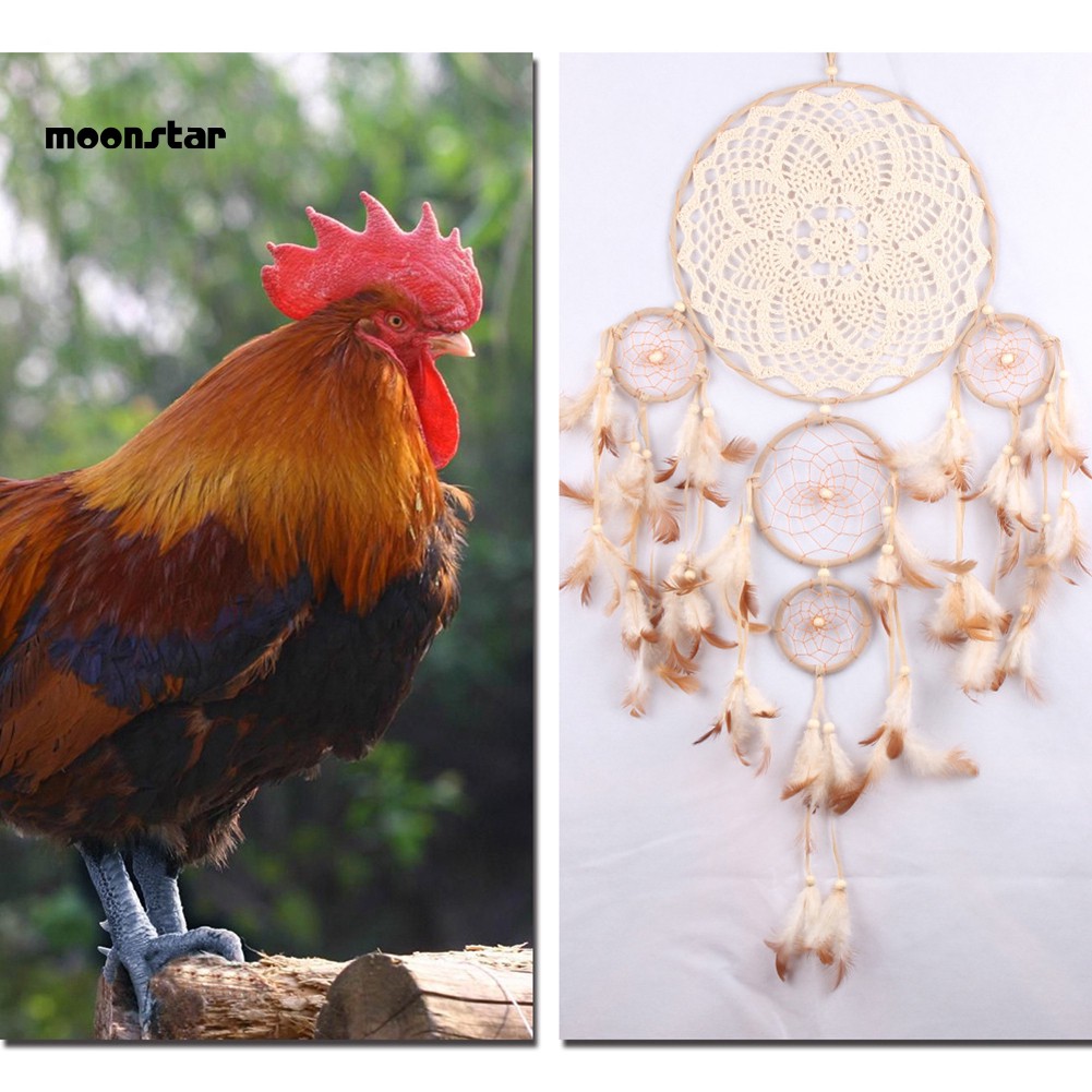 Dreamcatcher thiết kế 5 vòng treo tường chuyên dụng trang trí không gian