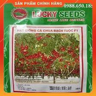 HẠT GIỐNG CÀ CHUA BẠCH TUỘC LEO GIÀN LUCKY GÓI 4 Hạt