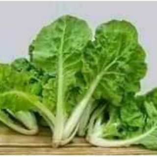 10gr gói hạt giống cải bẹ dúm