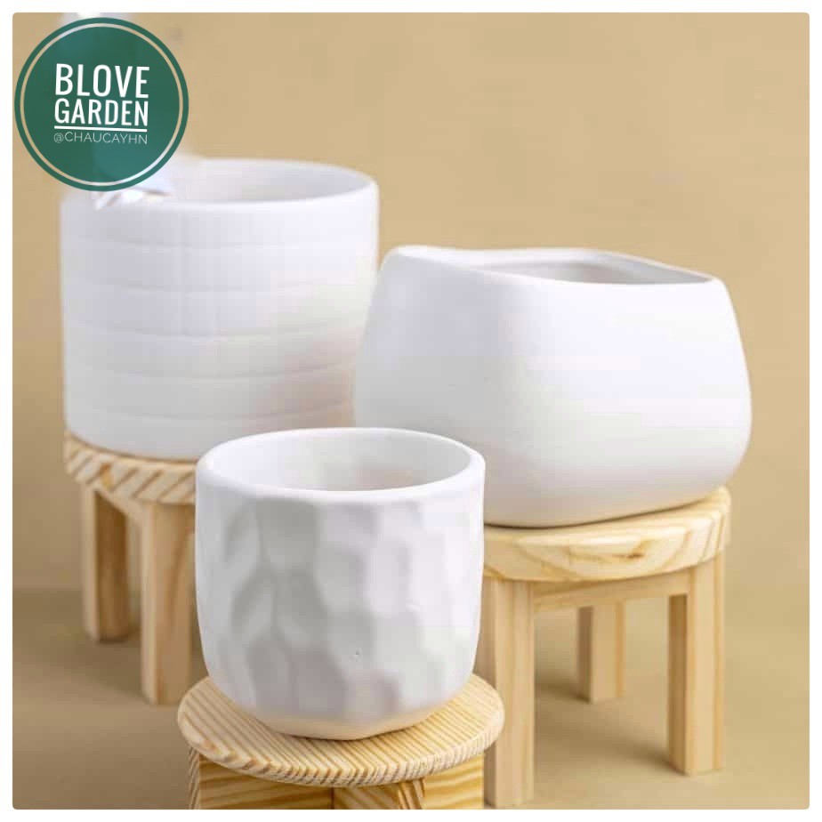 Chậu sứ Bát Tràng Hình mắt na trồng sen đá xương rồng,cây văn phòng, Decor Trang trí nhà cửa cực xinh sắn