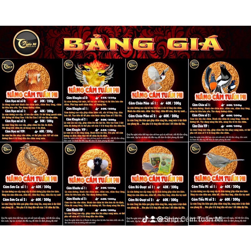 CÁM VÀNH KHUYÊN DƯỠNG SỐ 1 TUẤN MI