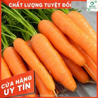 🥕HẠT GIỐNG CÀ RỐT F1_3GR🥕