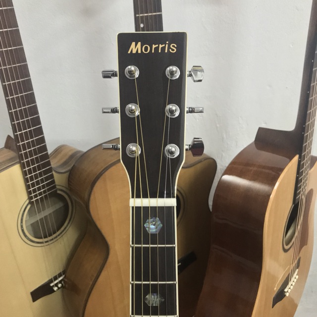 ĐÀN GUITAR MORRIS W40 ( HÀNG ĐÀI LOAN )