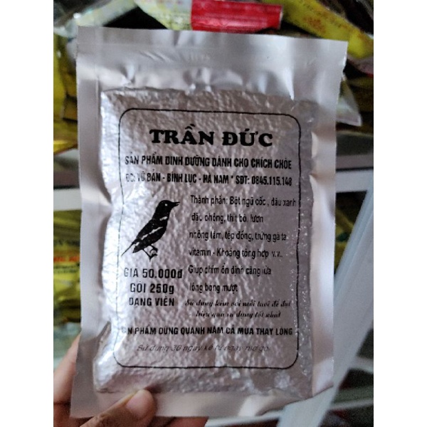 Cám chích choè Trần Đức