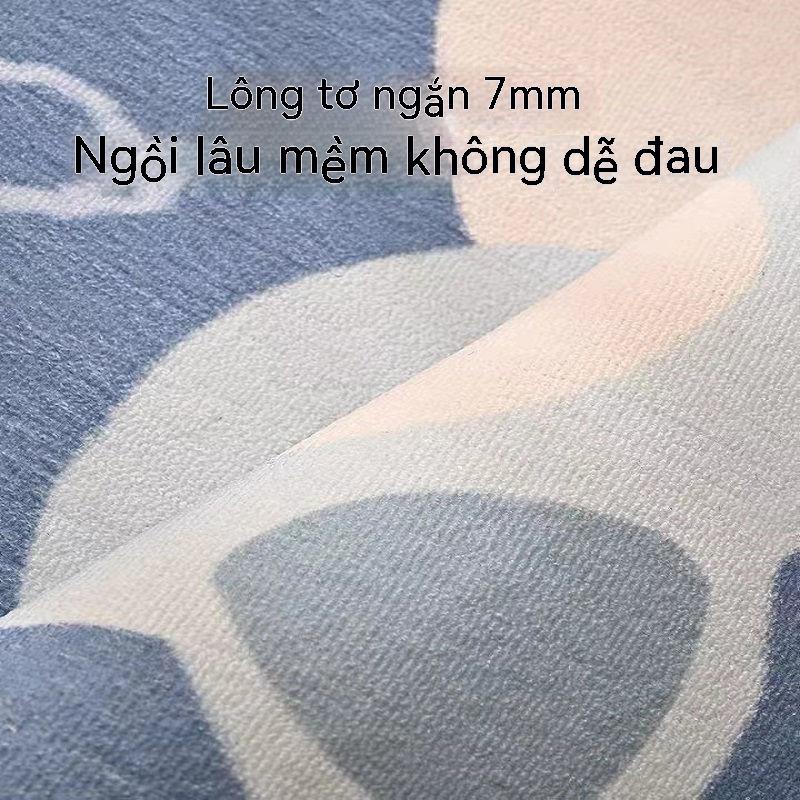 Thảm Trải Sàn Phòng Khách Sang Trọng Dùng Một Lần
