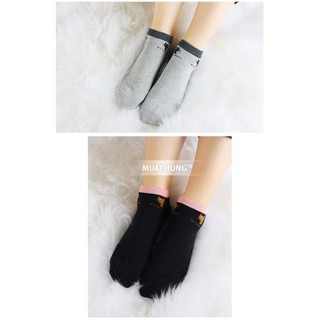 Bộ 5 đôi tất miu nữ hình mèo