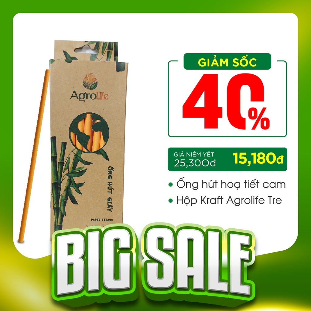 Phi 6 - Hộp 50 ống hút giấy làm từ sợi mía