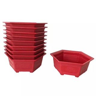 COMBO 10 CHẬU LỤC GIÁC ĐỎ 28CM