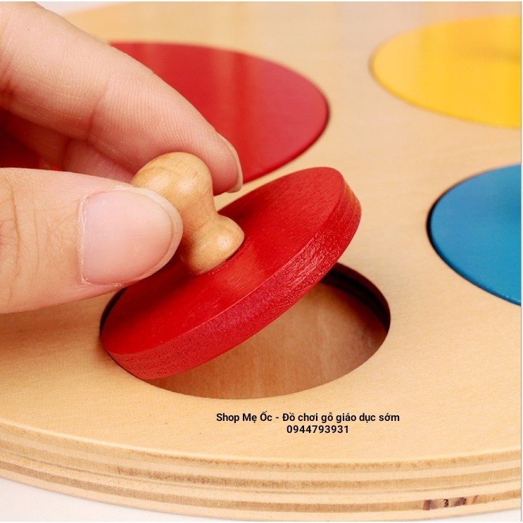 Bộp ghép hình tròn - Phân biệt kích thước (Gió cụ Montessori)