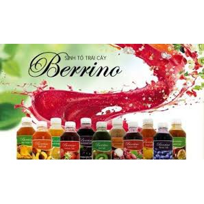 Sinh Tố Trái Cây Berrino