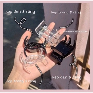 Kẹp Tóc Càng Cua 3 Răng , 5 Răng Nhám