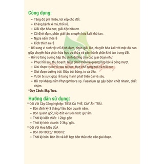 Đạm Cá, Đạm Cá Bột, Phân Đạm Cá, Phân Bón Hữu Cơ Vi Sinh Đạm Cá Bột 5kg