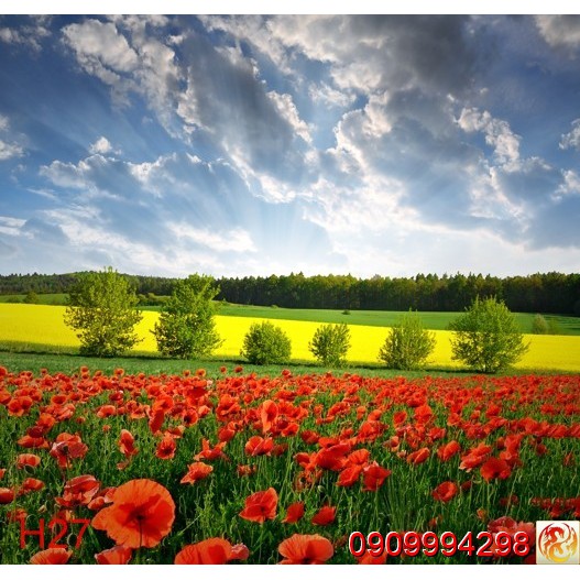 Tranh dán tường Hoa 3d, tranh hoa lá nhiều mẫu - TRANH NỀN PHÒNG LIVE TREAM