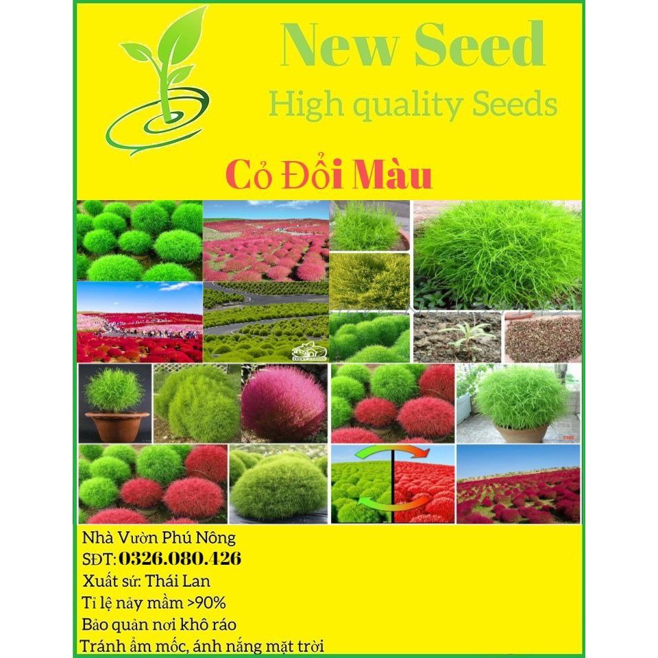 Hạt Giống Cỏ Đổi Màu F1 Loại Siêu Dễ Trồng Hoa Nở Đẹp Kháng Sâu Bệnh (100gram, 200gr, 500gram)