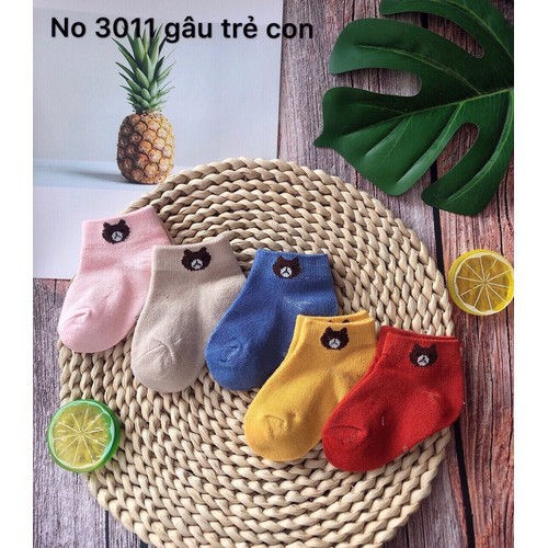 COMBO 5 đôi tất gấu mix màu trẻ em