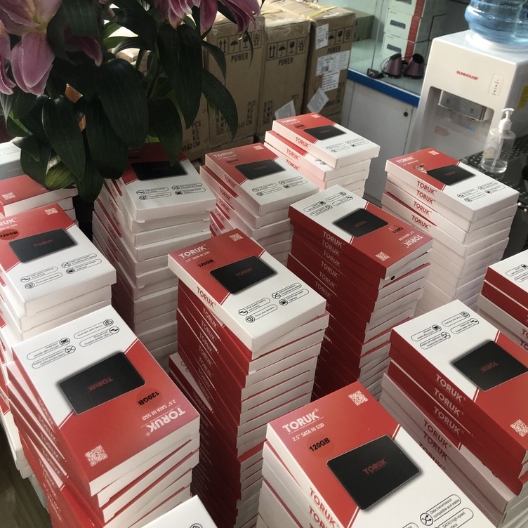 Ổ Cứng SSD TORUK Dung Lượng 120GB Chip 3D Flash Chính Hãng Bảo Hành 36 Tháng | BigBuy360 - bigbuy360.vn