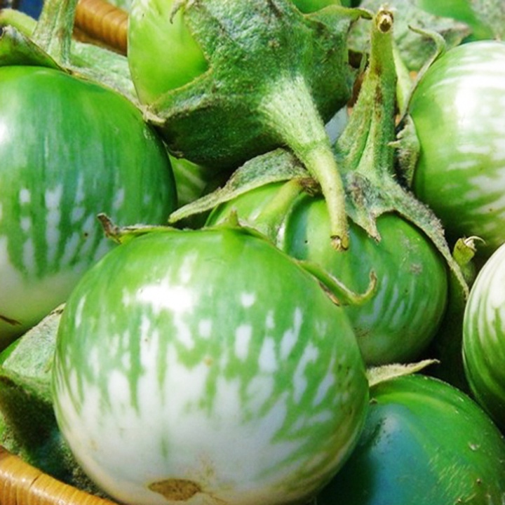 Hạt giống cà ngọt dễ trồng chịu nhiệt năng suất cao ( vài trăm hạt / gói ) giá rẻ