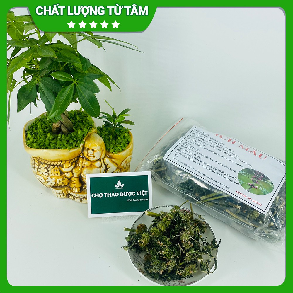 500g Ích Mẫu (Xanh, Thơm, Sạch)