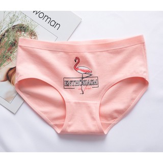 quần lót cotton dễ thương (combo 4 quần giảm giá)