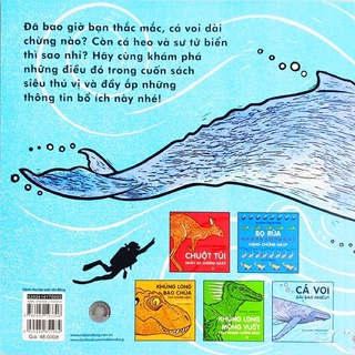 Sách-Cá voi dài bao nhiêu?