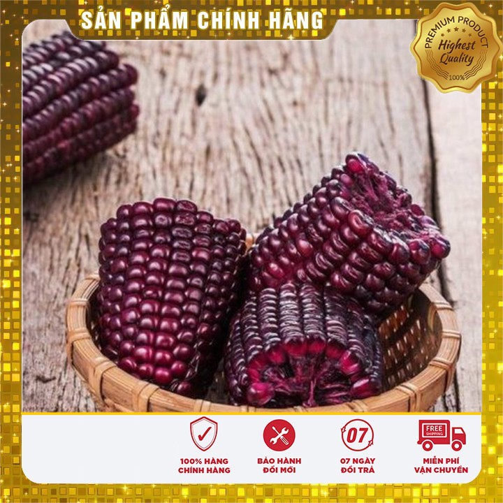 Hạt giống ngô tím ngọt - 5gr hạt giống ngô