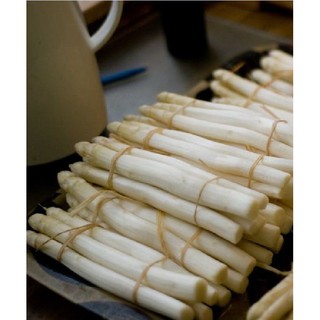 20 Hạt giống Măng Tây Trắng (Kèm kích thích hạt nảy mầm)