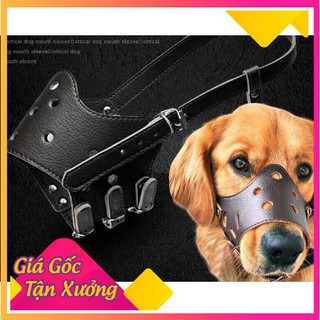 BỊT MỎ CHÓ