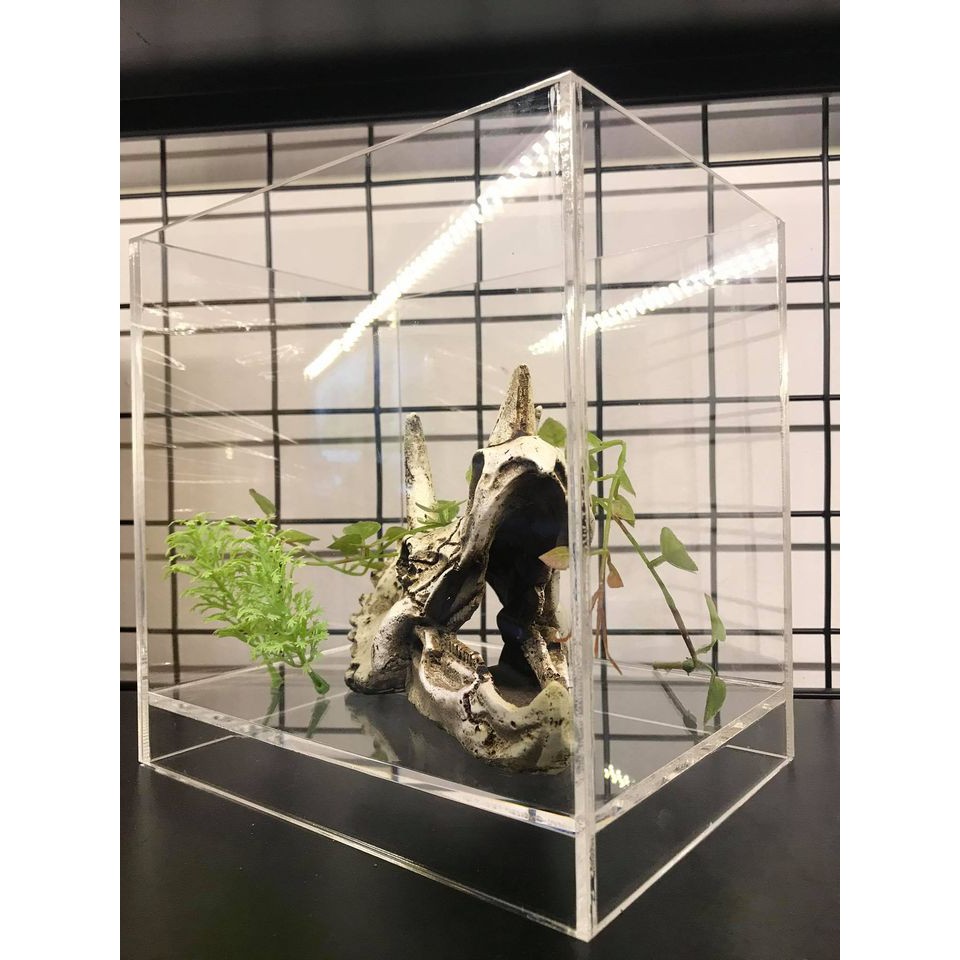 Hồ show cá/ bể cá mini/ hồ nâng đáy ACRYLIC cao cấp