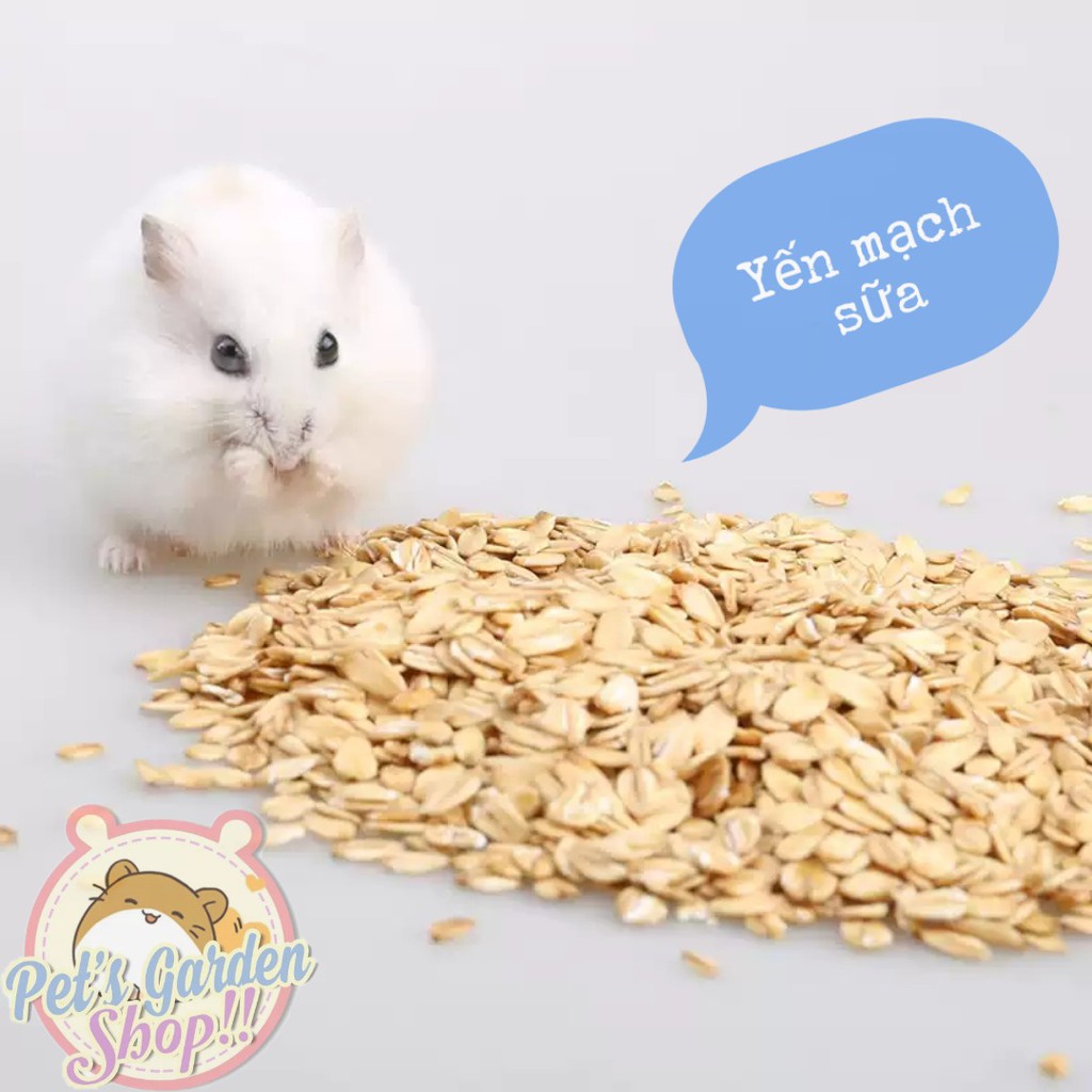 Yến mạch cán dẹp - Thức ăn hamster