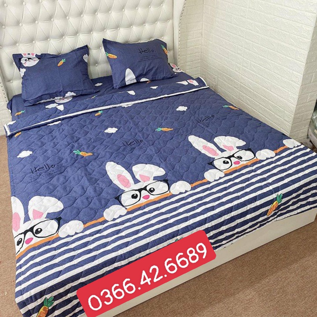 (Hot trend)  Chăn Đắp Hè Thu Trần Bông Vải PoLy Cotton dùng gia đình, văn phòng, công sở nằm điều hoà Mẫu Thỏ đeo kính