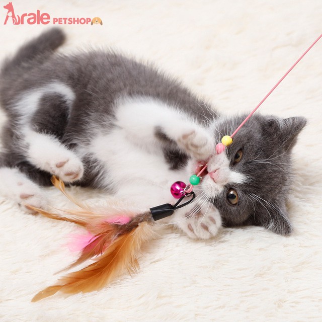 Đồ chơi mèo cần câu thép lông vũ giúp thú cưng giảm stress