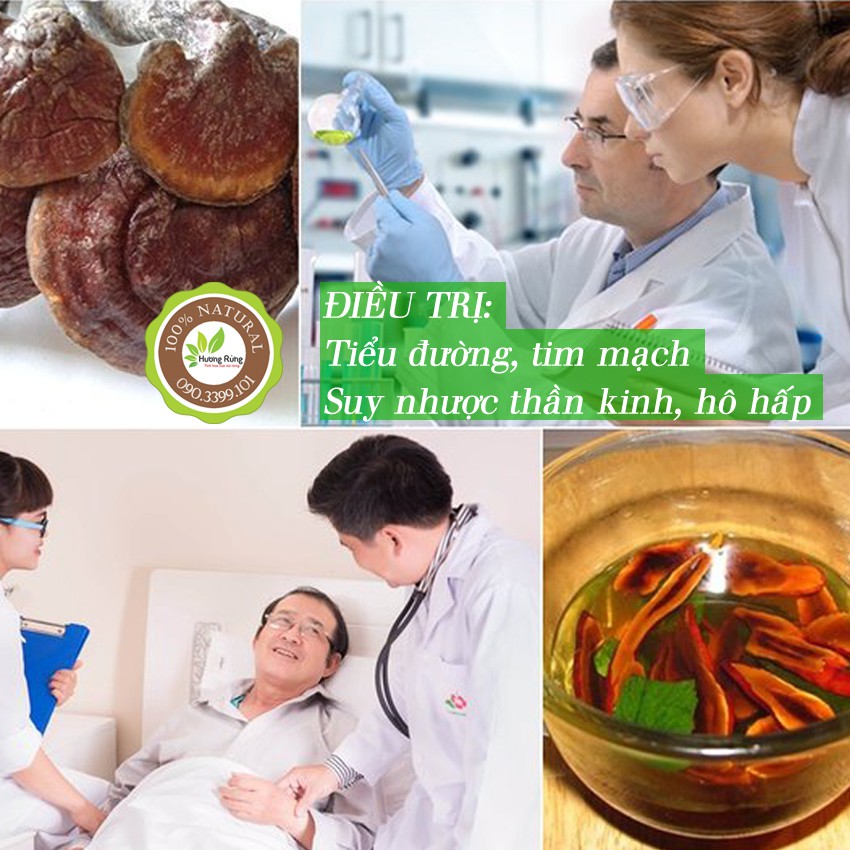 [NẤM LIM RỪNG] NẤM LIM XANH 300g, CÂY TO, ĐẶC TRỊ UNG THƯ, tiểu đường, tim mạch - ĐẶC SẢN HƯƠNG RỪNG