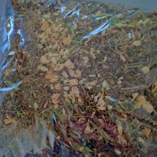 TRÀ SƠN MẬT HỒNG SÂM 1kg