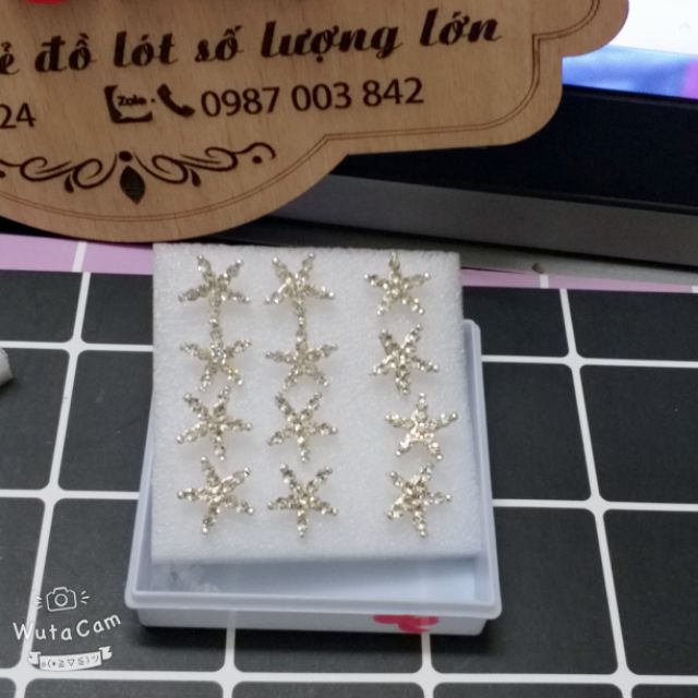 1 đôi bông tai ngôi sao