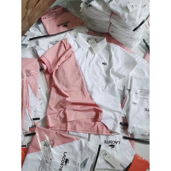 Áo polo phối màu LỖI