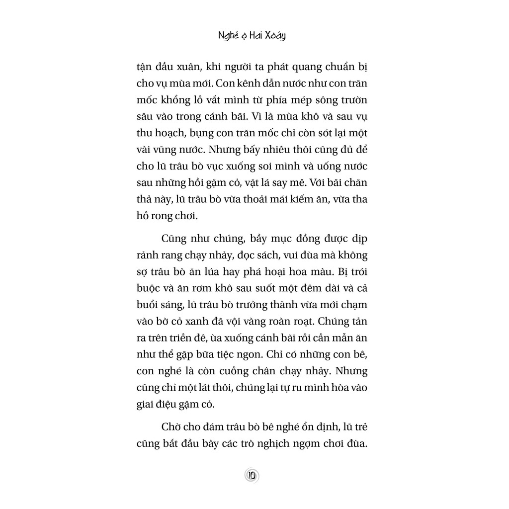 Sách Văn Học - Nghé Ọ Hai Xoáy - Tân Việt