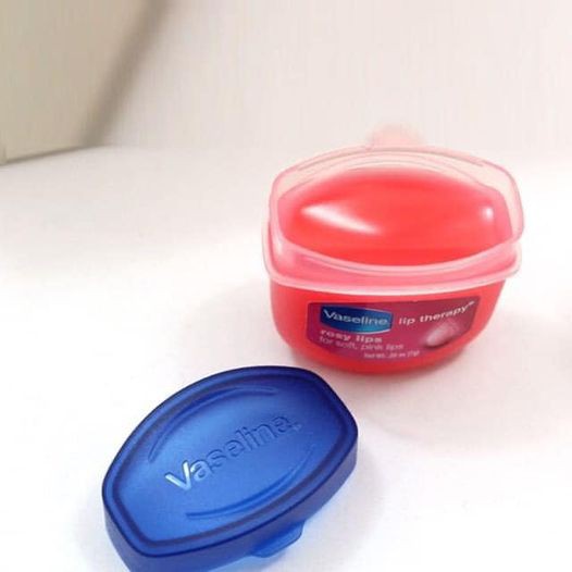 Sỉ 10 dưỡng môi Vaseline