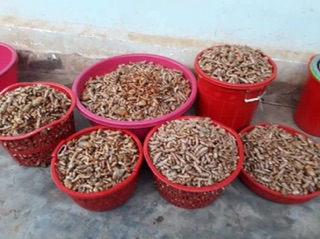 Tinh bột nghệ