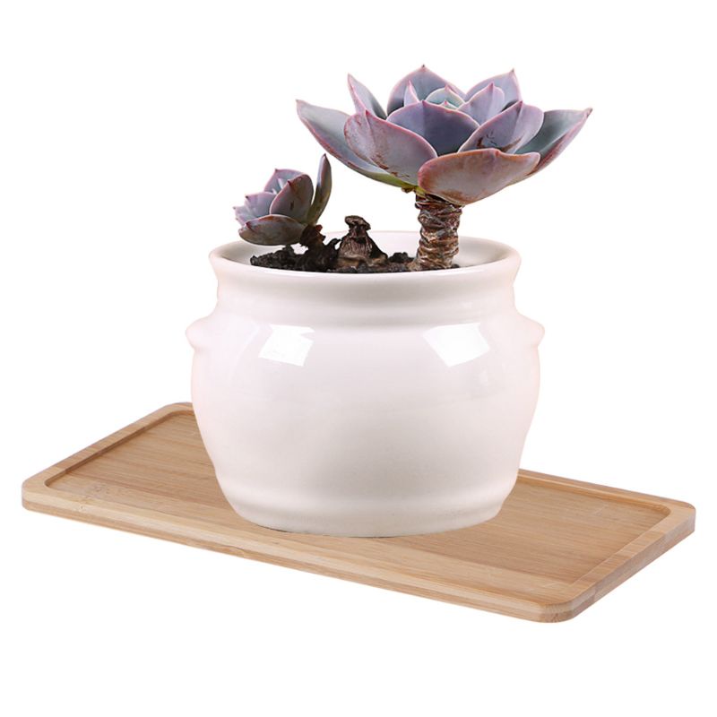 Khay Đựng Chậu Hoa Bonsai Bằng Tre Đơn Giản Trang Trí Nhà Cửa