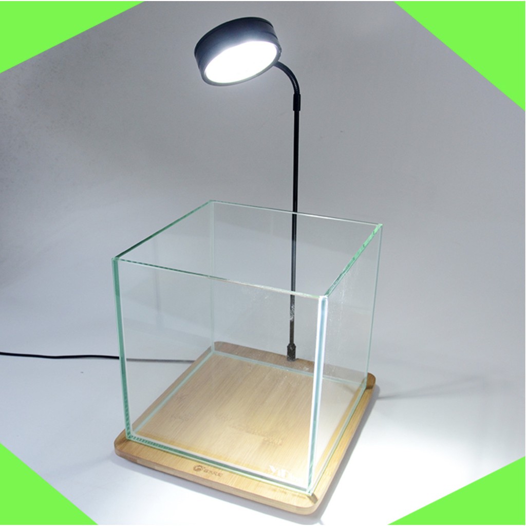 Đèn thuỷ sinh, đèn led đế gỗ chuyên dụng cho bể cá mini tiểu cảnh nhỏ