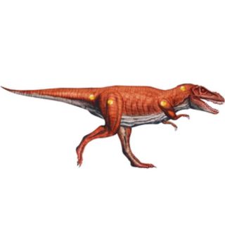 Đồ chơi giấy có khớp: khủng long Tyrannosaurus