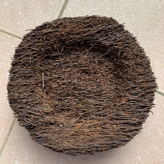 CHẬU DỚN TRỒNG LAN