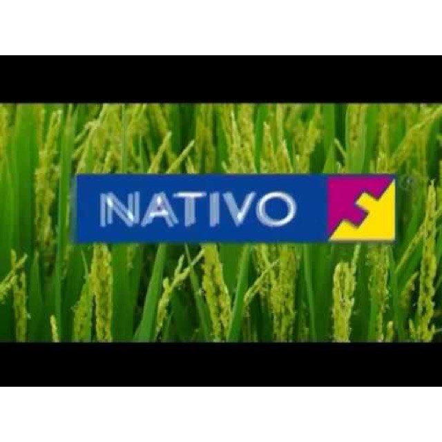Thuốc trừ nấm bệnh Nativo nhập khẩu-  chuyên dụng.