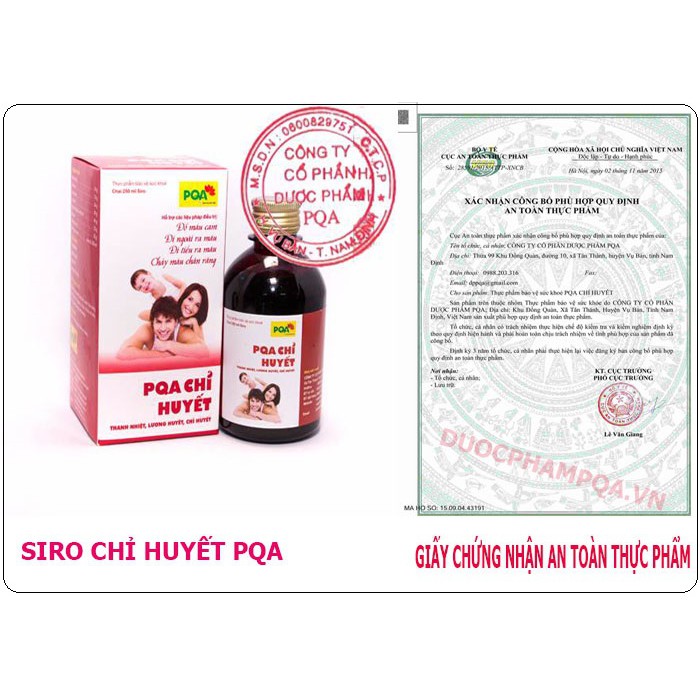 Chỉ huyết PQA hỗ trợ giảm chảy máu cam, nóng trong - chai 125ml | BigBuy360 - bigbuy360.vn