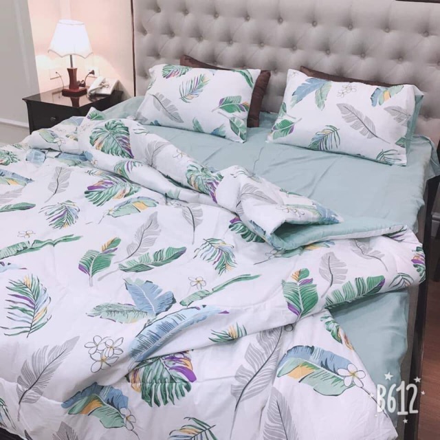Set đũi + poly
