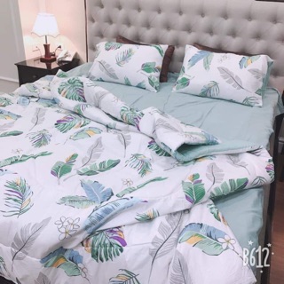 Set đũi + poly
