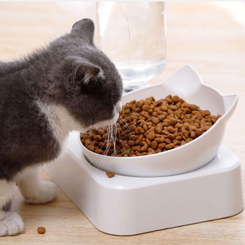 Norman Bình Đựng Nước Uống Hai Lớp Có Thể Tháo Rời Tiện Lợi Dành Cho Thú Cưng