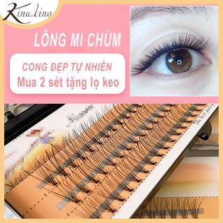 Mi giả chùm siêu tự nhiên, mi mềm mỏng, siêu nhẹ và có độ cong sẵn- KinaKino Phukienlmadep
