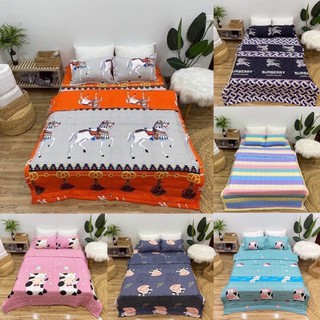 Bộ chăn ga gối poly 5 món hàng loại 1