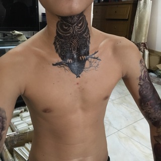 Combo 10 tấm tattoo xăm dán bắp tay con vật